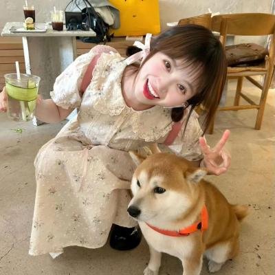 少女情怀尽是诗